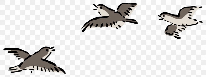 Bird Flight Columbidae Domestic Pigeon Clip Art, PNG, 2400x900px, Bird, Art, Beak, Bird Flight, Bird Of Prey Download Free