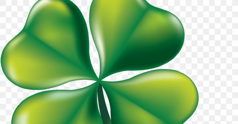Four-leaf Clover Clip Art Republic Of Ireland Irish People, PNG, 897x471px, Fourleaf Clover, Clover, Green, Happiness, Irish People Download Free