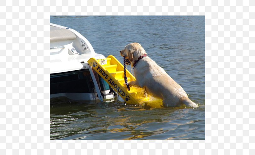 Paws Aboard Doggy Boat Ladder And Ramp Golden Retriever Pet Dock, PNG, 500x500px, Golden Retriever, Boat, Dock, Dog, Dog Like Mammal Download Free