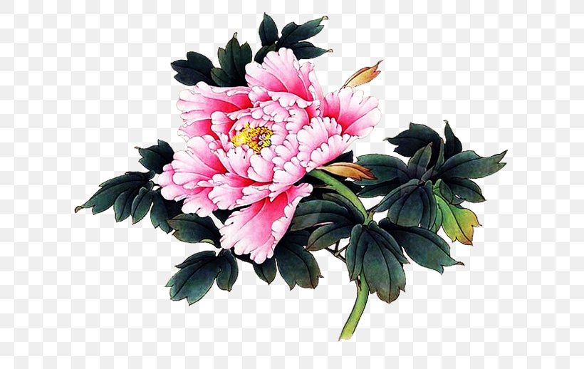 Peony Watercolor Painting Flower Drawing, PNG, 635x518px, Peony, Annual Plant, Artificial Flower, Chrysanths, Cut Flowers Download Free