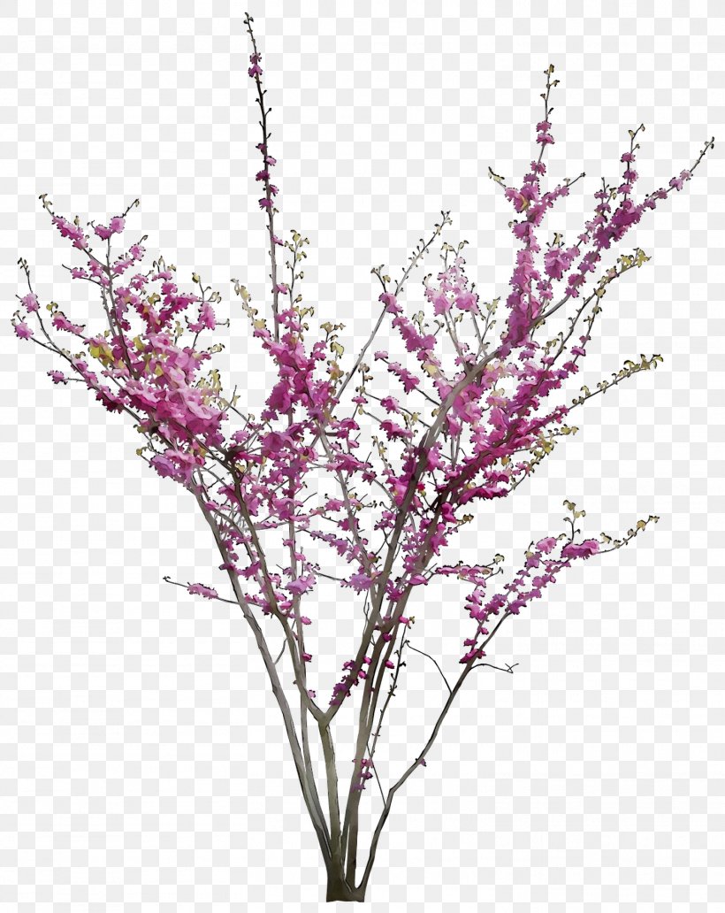 Twig Plant Stem Cut Flowers Purple, PNG, 1512x1903px, Twig, Artificial Flower, Blossom, Branch, Cut Flowers Download Free