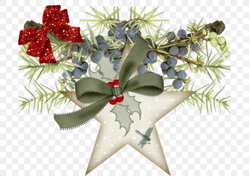 Christmas Ornament Santa Claus Juniper Woodland, PNG, 700x580px, Christmas Ornament, Christmas, Christmas Decoration, Christmas Eve, Fir Download Free