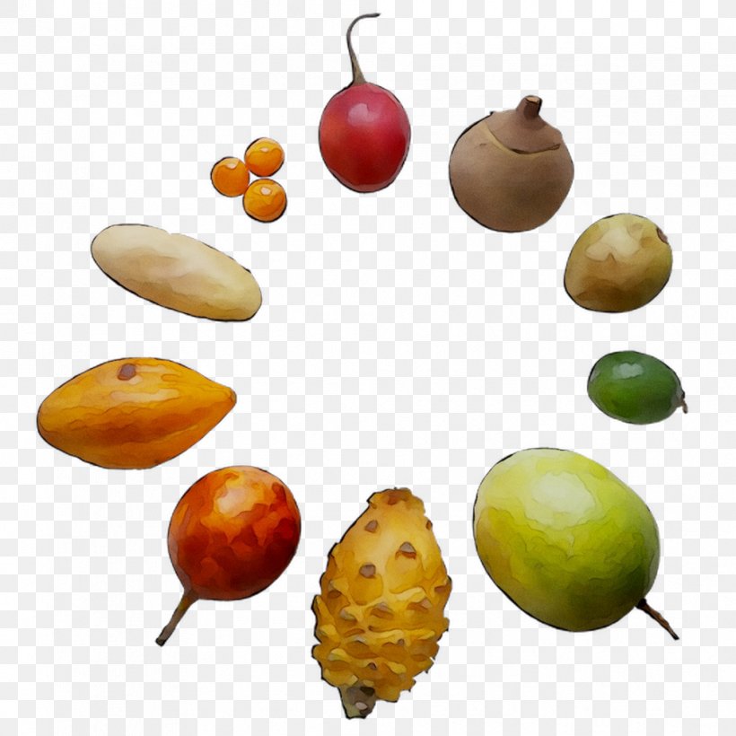 Vegetarian Cuisine Food Vegetable Nut Fruit, PNG, 1008x1008px, Vegetarian Cuisine, Accessory Fruit, Acorn, Food, Fruit Download Free