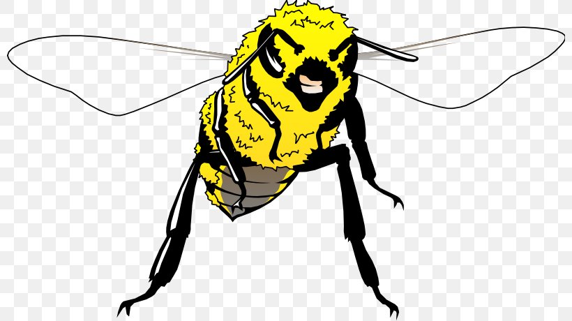 Clip Art Honey Bee Vector Graphics Illustration Png 800x460px