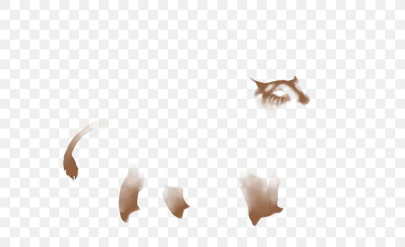 Close-up Organism Tail Ear, PNG, 640x500px, Closeup, Ear, Organism, Petal, Tail Download Free