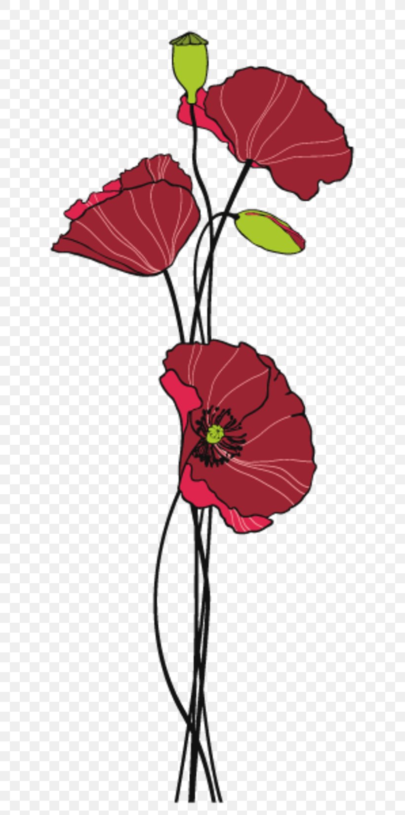 Sticker Flower Painting Common Poppy Image, PNG, 800x1649px, Sticker, Brush, Common Poppy, Coquelicot, Cut Flowers Download Free