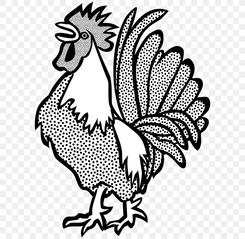 Chicken Rooster Drawing Line Art Clip Art, PNG, 750x800px, Chicken, Art, Artwork, Beak, Bird Download Free