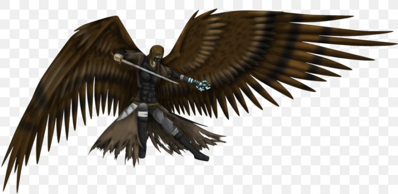 Harpy Eagle Bird Archaeopteryx Hybrid, PNG, 900x439px, Eagle, Accipitriformes, Archaeopteryx, Beak, Bird Download Free