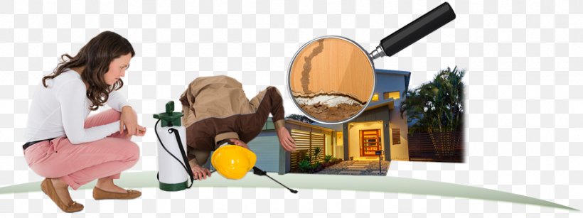 Insect Pest Control Business Termite, PNG, 924x346px, Insect, Bed Bug, Bird Control, Bird Control Spike, Business Download Free