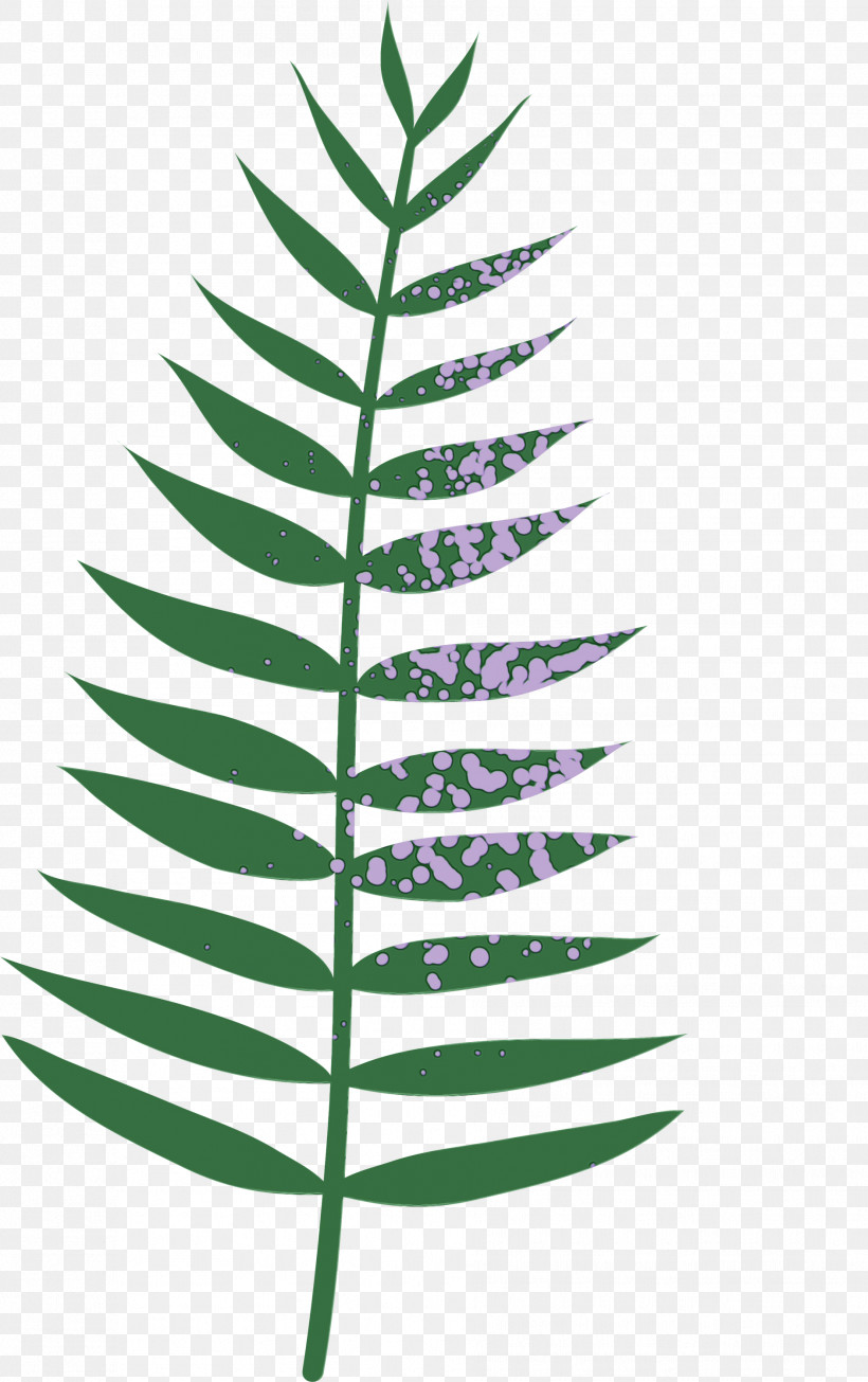 Plant Stem Branch Leaf Vascular Plant Plants, PNG, 1884x3000px, Watercolor, Biology, Branch, Leaf, Paint Download Free