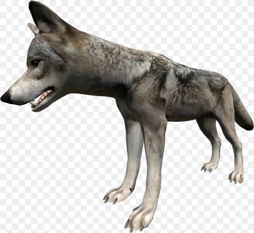 Saarloos Wolfdog Czechoslovakian Wolfdog Kunming Wolfdog DayZ Coyote, PNG, 878x804px, Saarloos Wolfdog, Alaskan Tundra Wolf, Animal, Black Wolf, Canis Download Free