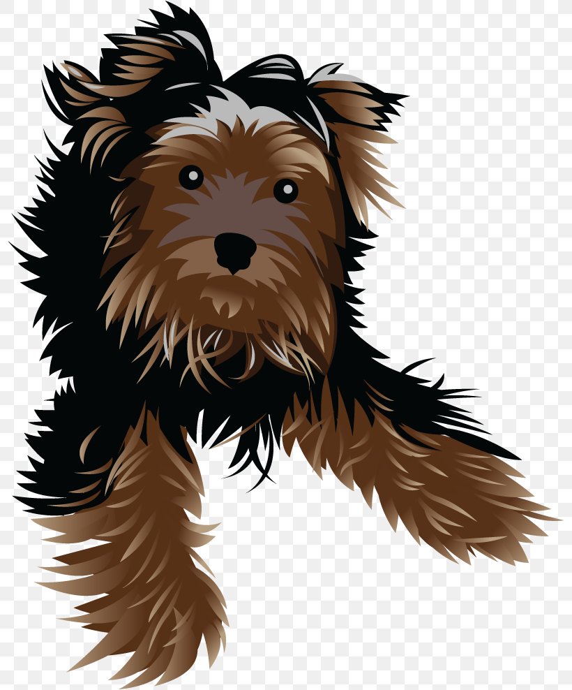 Yorkshire Terrier Cairn Terrier Puppy Companion Dog Dog Breed, PNG, 800x988px, Yorkshire Terrier, Breed, Cairn Terrier, Carnivoran, Companion Dog Download Free