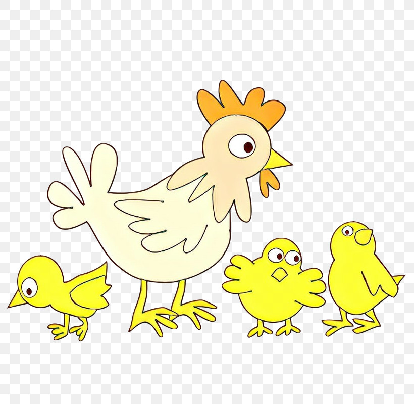 Chicken Bird Yellow Cartoon Beak, PNG, 800x800px, Chicken, Beak, Bird, Cartoon, Rooster Download Free