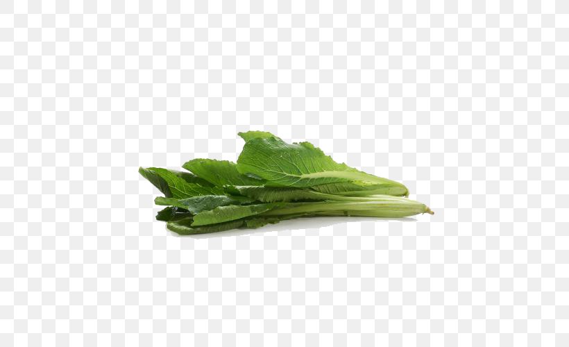 Leaf Vegetable Bok Choy Cabbage, PNG, 500x500px, Leaf Vegetable, Bok Choy, Cabbage, Chinese Cabbage, Cucumber Download Free