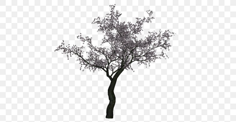 Twig Green Tree RGB Color Model, PNG, 600x424px, Twig, Black, Black And White, Blog, Branch Download Free