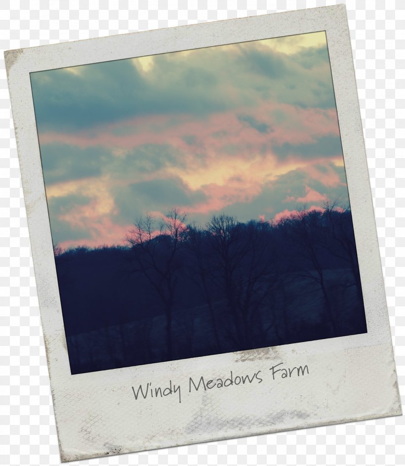 You'll Never Find A Rainbow If You're Looking Down Picture Frames Farm Rectangle Windy, PNG, 1391x1600px, Picture Frames, Charlie Chaplin, Farm, Picture Frame, Rectangle Download Free