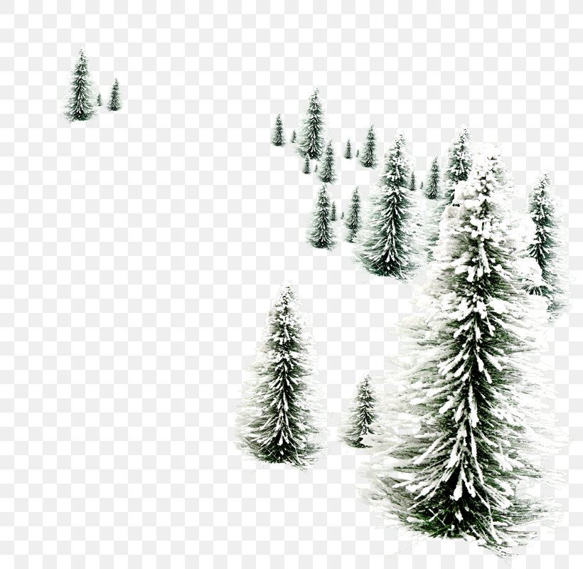 Christmas Black And White, PNG, 800x800px, Snowman, American Larch, Balsam Fir, Biome, Blackandwhite Download Free