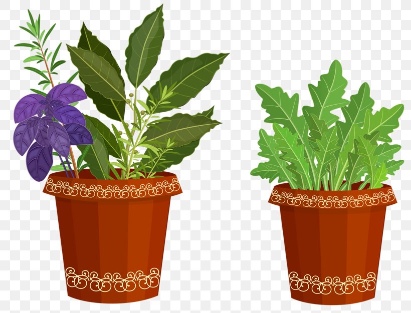 Clip Art Flowerpot Ornamental Plant Openclipart, PNG, 800x625px, Flowerpot, Anthurium, Cartoon, Drawing, Flower Download Free