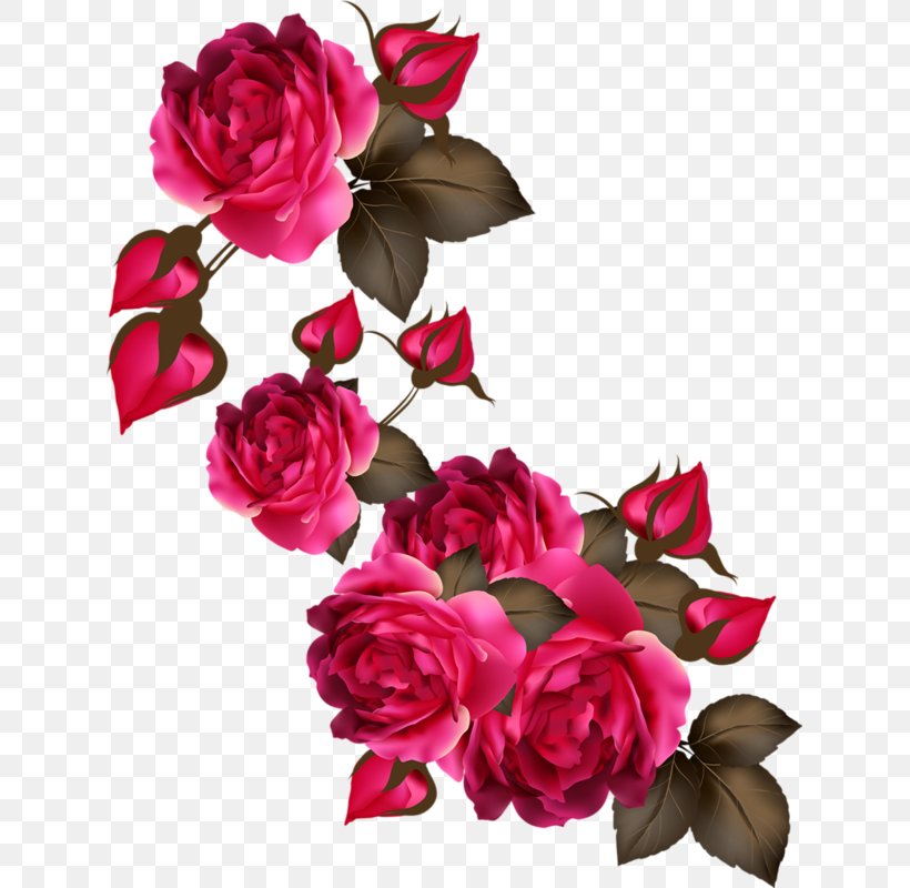 Garden Roses Flower, PNG, 627x800px, Garden Roses, Artificial Flower, Cut Flowers, Designer, Floral Design Download Free
