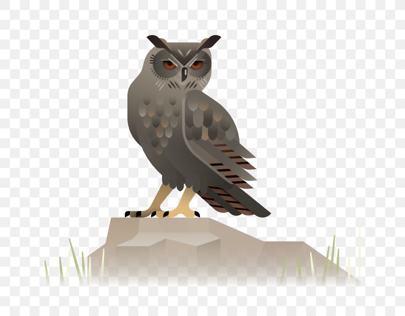 Owl Bird, PNG, 640x640px, Owl, Beak, Bird, Bird Of Prey, Creative Director Download Free