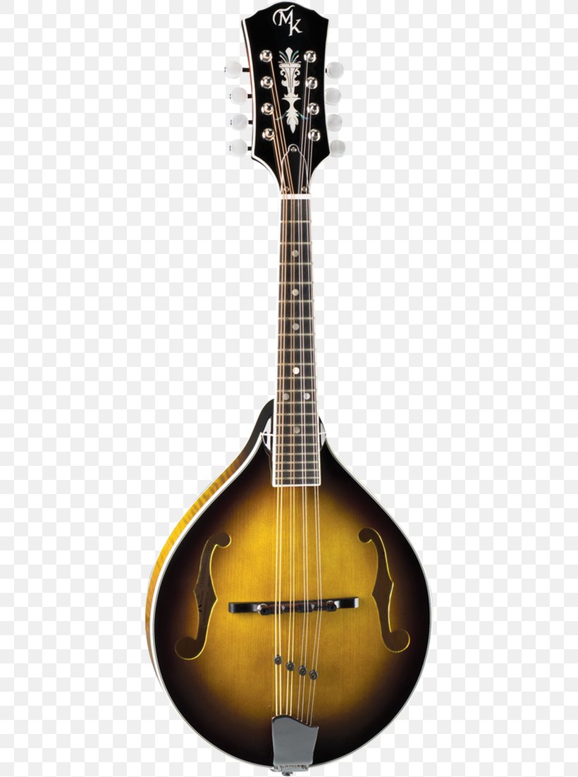 Mandolin Acoustic Guitar Acoustic-electric Guitar Banjo Guitar Tiple, PNG, 410x1101px, Watercolor, Cartoon, Flower, Frame, Heart Download Free