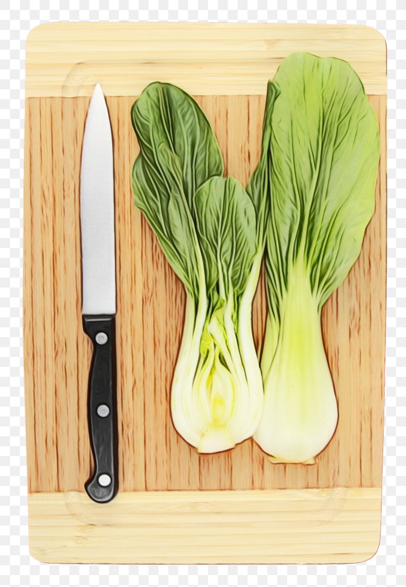 Vegetable Food Cutting Board Leaf Vegetable Plant, PNG, 800x1184px, Watercolor, Chinese Cabbage, Cruciferous Vegetables, Cutting Board, Fennel Download Free
