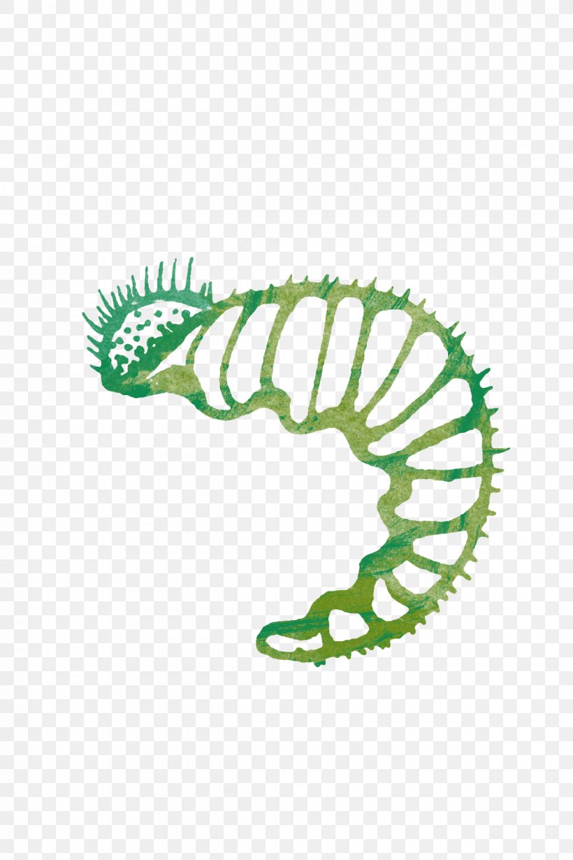 Caterpillar Download, PNG, 1200x1800px, Caterpillar, Area, Chenille Fabric, Google Images, Grass Download Free
