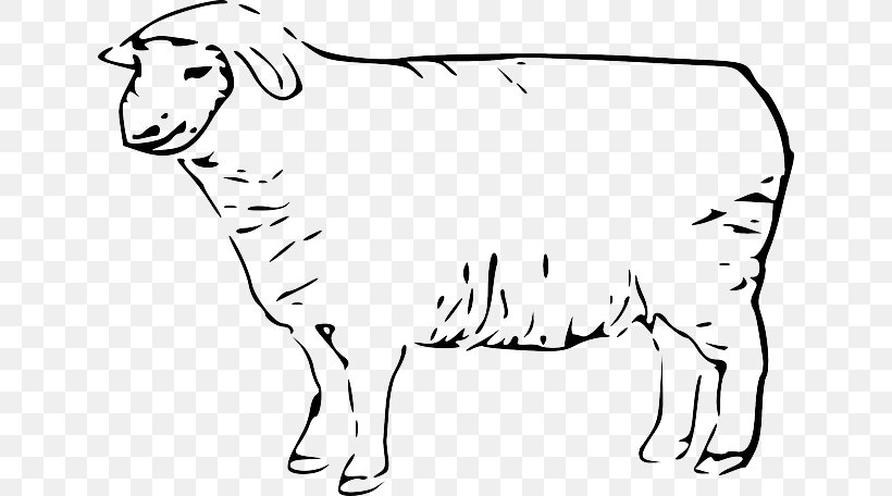Drawing Clip Art Line Art Merino Lamb And Mutton, PNG, 640x456px, Drawing, Animal Figure, Area, Art, Big Cats Download Free