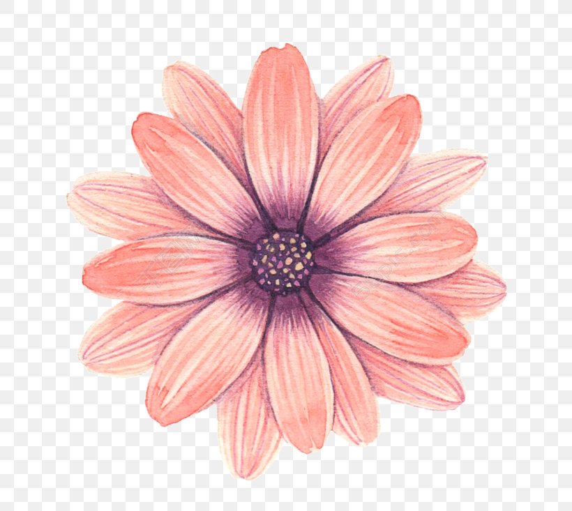 Flower Graphic Design Image, PNG, 780x733px, Flower, Blume, Chrysanthemum, Chrysanths, Cut Flowers Download Free