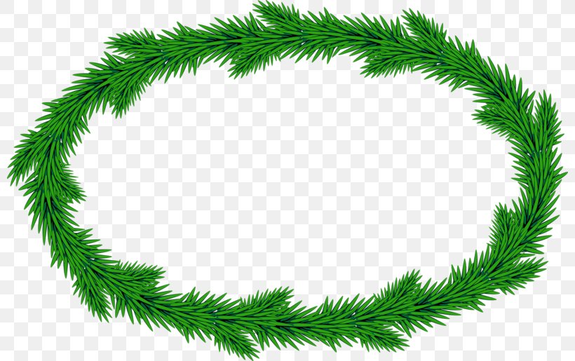 Garland Christmas Ornament, PNG, 800x515px, Garland, Branch, Christmas, Christmas Decoration, Christmas Ornament Download Free