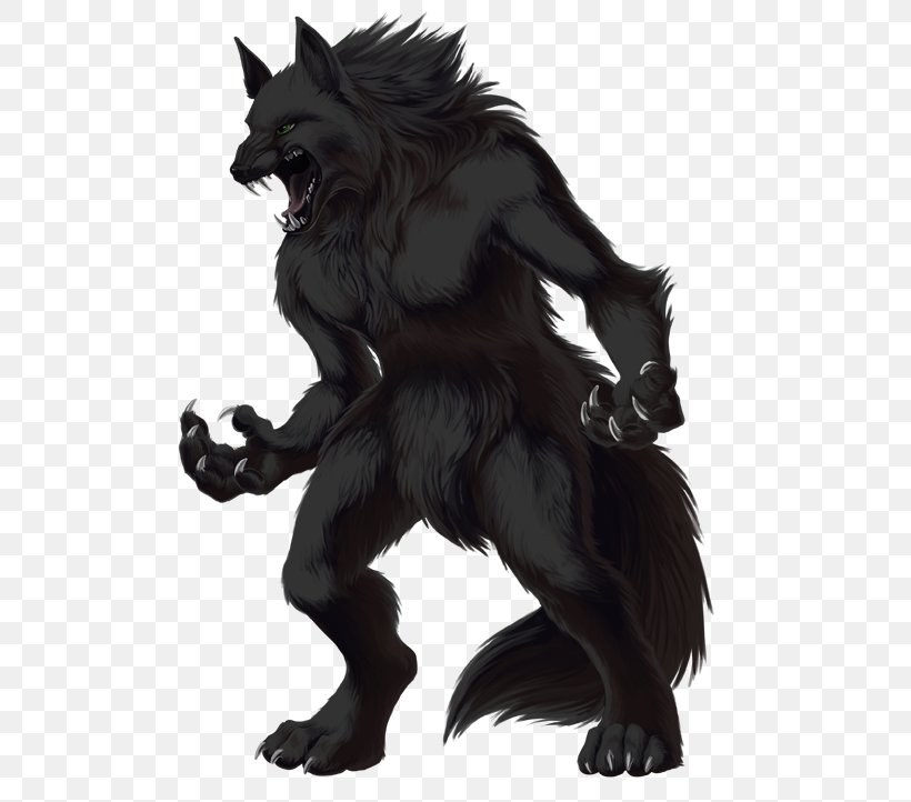 Gray Wolf Werewolf, PNG, 510x722px, Gray Wolf, Art, Carnivoran, Dog Like Mammal, Drawing Download Free