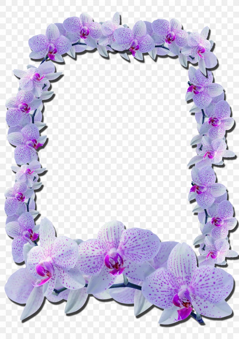Picture Frames Photography Flower, PNG, 2480x3510px, Picture Frames, Animation, Drawing, Film Frame, Flower Download Free