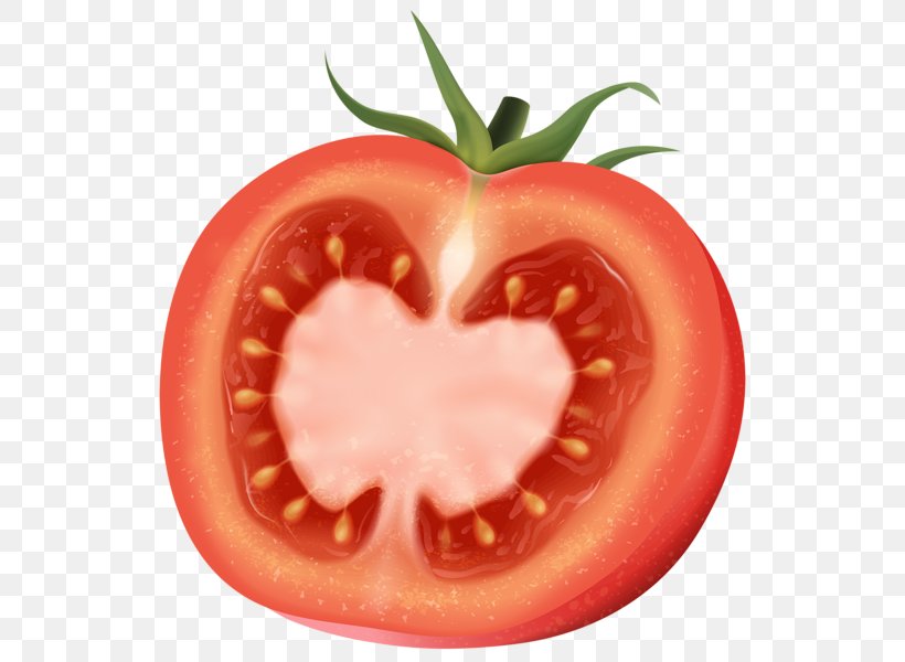 Plum Tomato Art Clip Art, PNG, 538x600px, Plum Tomato, Art, Art Museum, Bush Tomato, Diet Food Download Free