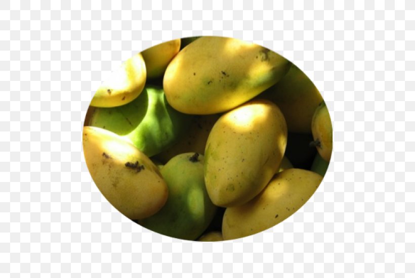 Banana Juice Mangifera Indica Mango Vegetable, PNG, 500x550px, Banana, Amchoor, Auglis, Banana Family, Carambola Download Free