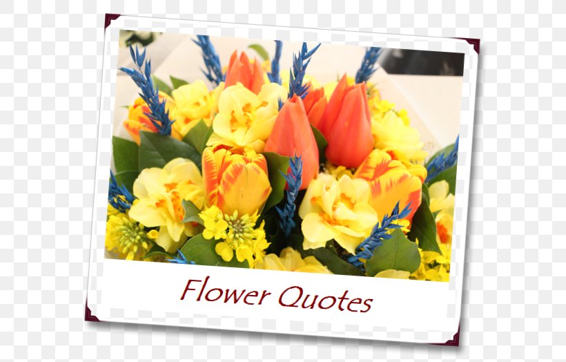 Floral Design Flower Bouquet Cut Flowers Quotation, PNG, 613x524px, Floral Design, Bride, Cut Flowers, Floristry, Flower Download Free