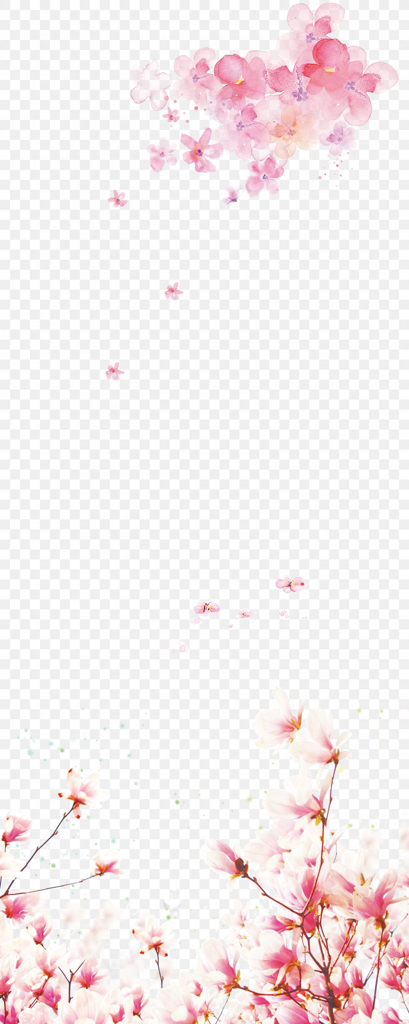 Flower Download, PNG, 1500x3750px, Flower, Blossom, Branch, Cherry Blossom, Floral Design Download Free
