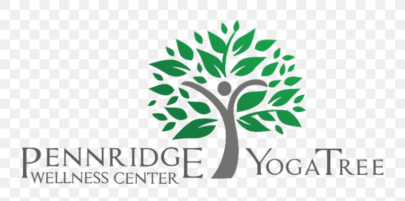 Yoga Tree Pennridge Wellness Center 0 Health, Fitness And Wellness, PNG, 800x407px, Yoga Tree, Branch, Brand, Flora, Green Download Free