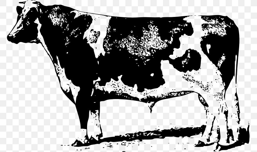 Beef Cattle Drawing Dairy Cattle Clip Art, PNG, 775x485px, Beef Cattle, Black And White, Bull, Cattle, Cattle Like Mammal Download Free