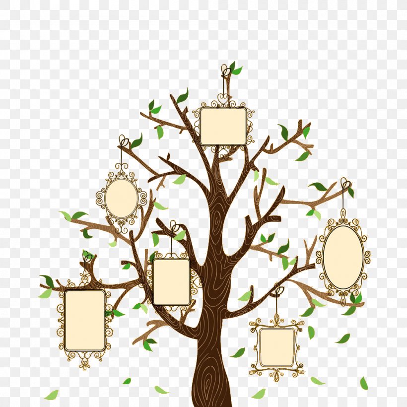 Family Tree Euclidean Vector Illustration, PNG, 1000x1000px, Family Tree, Branch, Decor, Family, Flora Download Free