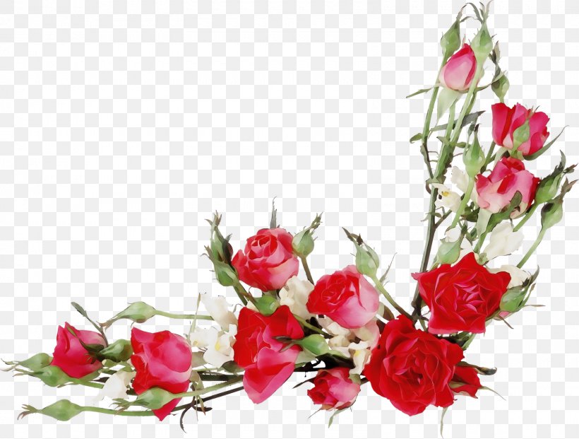 Garden Roses, PNG, 1600x1213px, Watercolor, Artificial Flower, Bouquet, Branch, Cut Flowers Download Free