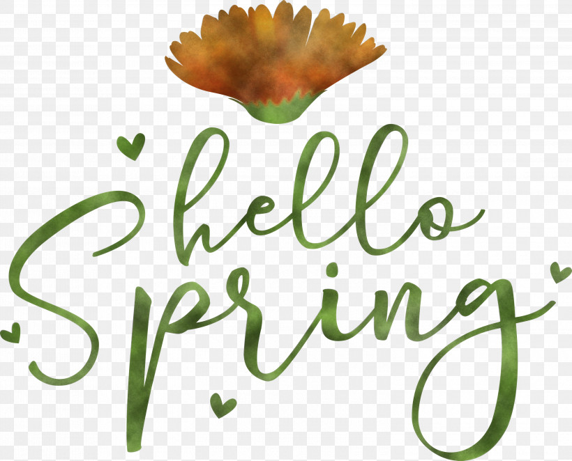 Hello Spring Spring, PNG, 3000x2424px, Hello Spring, Biology, Cut Flowers, Floral Design, Flower Download Free