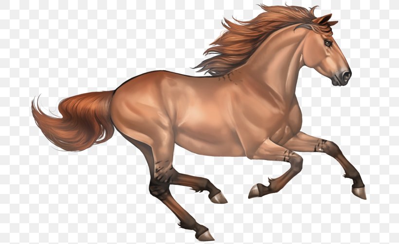 Mustang Clip Art Arabian Horse Stallion, PNG, 700x503px, Mustang, Animal Figure, Animation, Arabian Horse, Buckskin Download Free