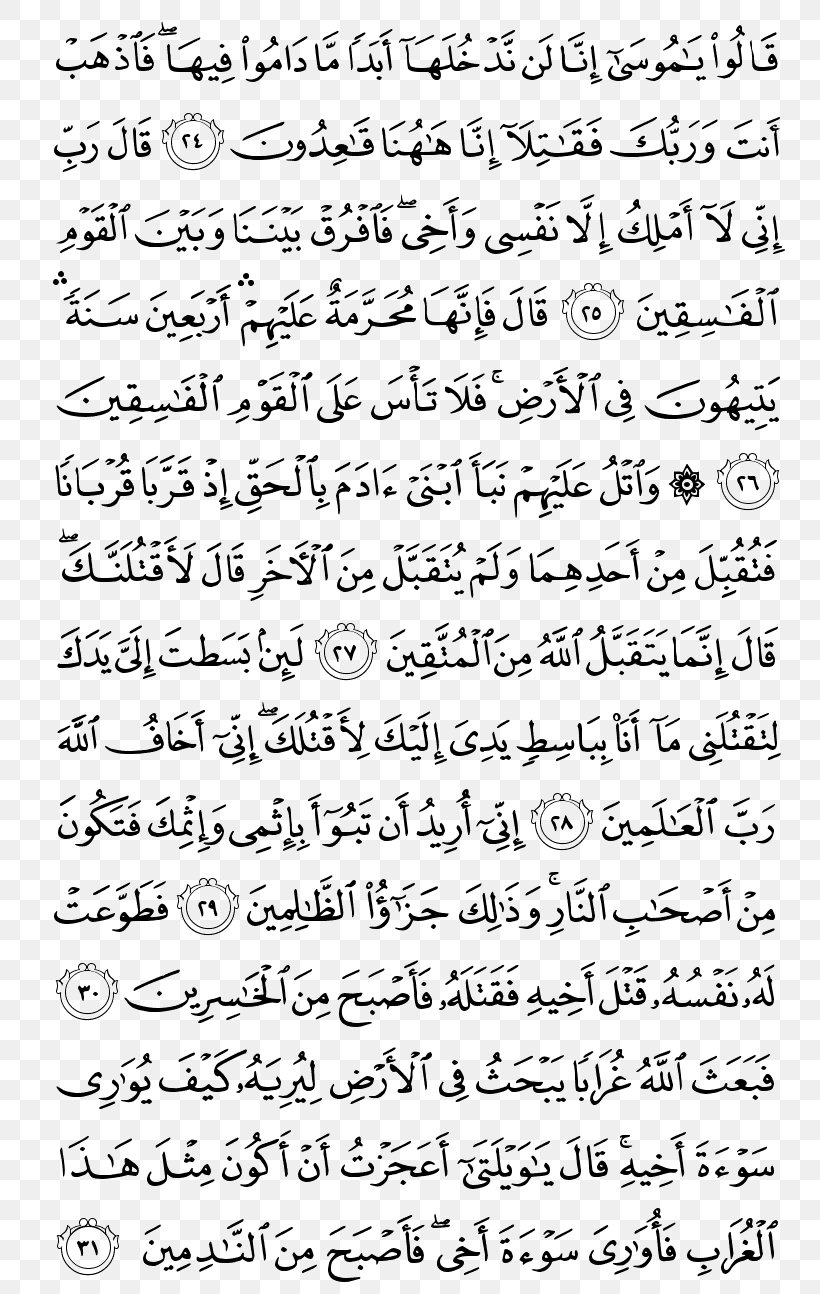 Qur'an Mecca Tarawih Al-Baqara Surah, PNG, 800x1294px, Qur An, Albaqara, Almulk, Area, Black And White Download Free