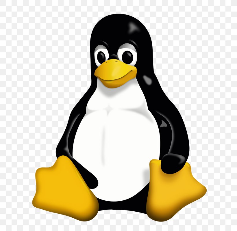Tux Racer Penguin Linux Unix, PNG, 679x800px, Tux, Arch Linux, Beak, Bird, Computer Software Download Free