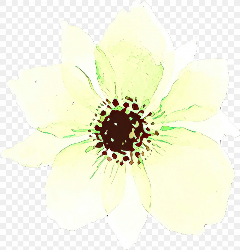 White Flower Petal Plant Watercolor Paint, PNG, 2886x3000px, White, Flower, Petal, Plant, Watercolor Paint Download Free