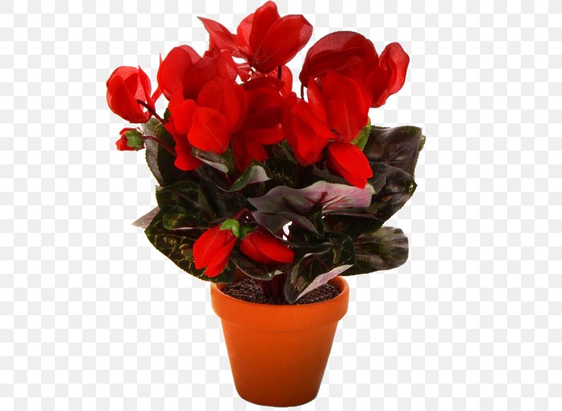 Flowerpot Cyclamen Flowers In A Vase Artificial Flower, PNG, 600x600px, Flower, Artificial Flower, Begonia, Color, Crock Download Free