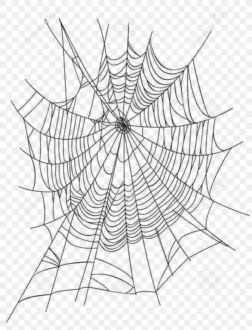 Spider Web Euclidean Vector Illustration, PNG, 901x1180px, Spider, Area, Black And White, Drawing, Invertebrate Download Free