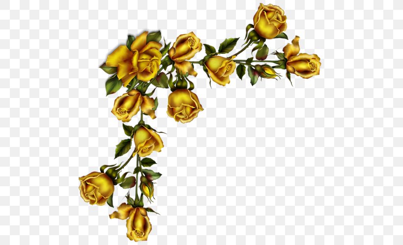 Garden Roses Paper Clip Art, PNG, 500x500px, Garden Roses, Branch, Color, Cut Flowers, Floral Design Download Free