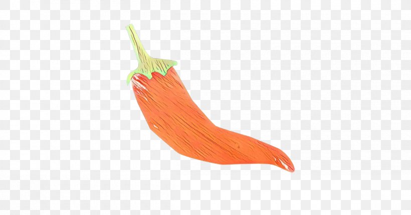 Orange, PNG, 1200x630px, Cartoon, Bell Peppers And Chili Peppers, Carrot, Chili Pepper, Finger Download Free