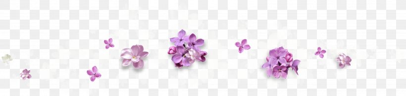Purple Flower Violet, PNG, 3216x765px, Purple, Body Jewelry, Drawing, Flower, Gratis Download Free